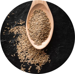 Ajwain Image